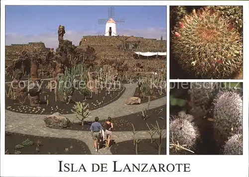 Kakteen Jardin de Cactus Isla de Lanzarote  Kat. Pflanzen