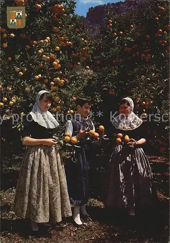 Orangen Oranges Mallorca Orangenbaeume Trachten  Kat. Landwirtschaft