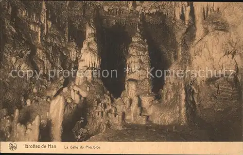 Hoehlen Caves Grottes Grottes de Han Salle du Precipice  Kat. Berge