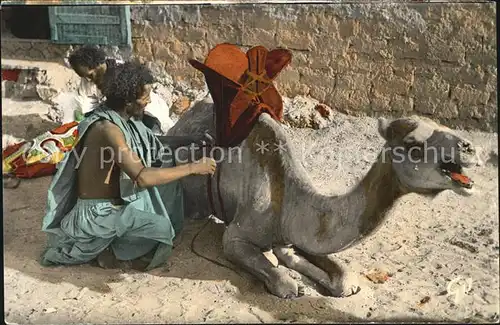 Kamele Mauritanie Maure sellant sa Monture Kat. Tiere