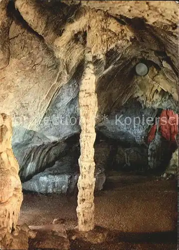 Hoehlen Caves Grottes Dechenhoehle Palmengrotte  Kat. Berge