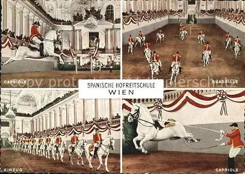 Reitsport Pferdesport Pferderennen Spanische Hofreitschule Wien Capriole Einug Quadrille Kat. Sport