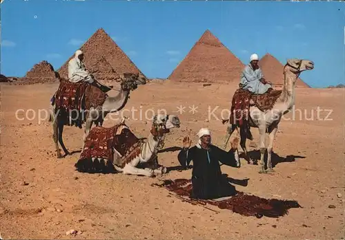 Kamele Kamelreiter Pyramide Gebet  Kat. Tiere