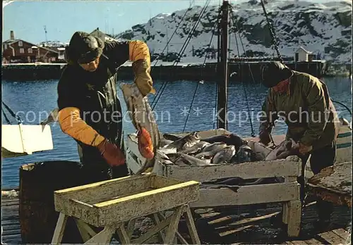 Fischerei Fischer Norway  Kat. Handwerk
