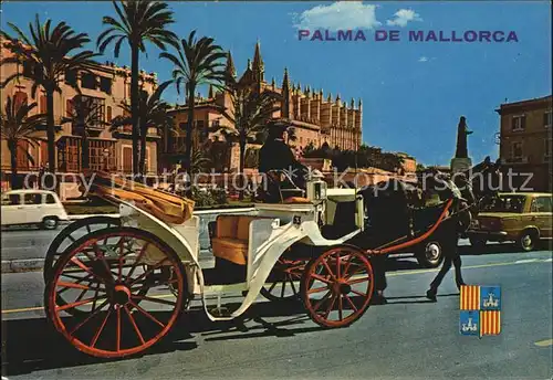 Pferdekutschen Palma de Mallorca Paseo Sagrera  Kat. Tiere
