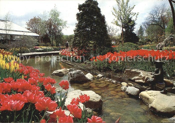Blumen Tulipshow Frans Roozen Vogelzang Kat. Pflanzen Nr. kt37272