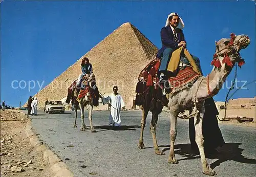 Kamele Giza Biggest Pyramid  Kat. Tiere