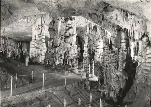 Hoehlen Caves Grottes Postojnska Jama Slowenien Kat. Berge