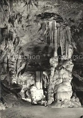 Hoehlen Caves Grottes Postojnska Jama Slowenien  Kat. Berge