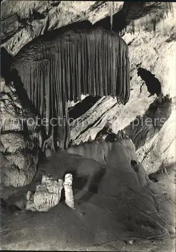Hoehlen Caves Grottes Postojnska Jama Slowenien Baldahin Kat. Berge