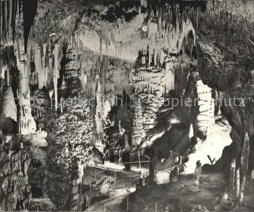 Hoehlen Caves Grottes Postojnska Jama Slowenien Weisser Saal Kat. Berge