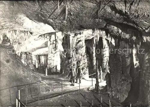 Hoehlen Caves Grottes Postojnska Jama Slowenien Eingang Neue Grotte  Kat. Berge