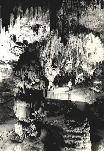 Hoehlen Caves Grottes Postojnska Jama Slowenien Tartarus Kat. Berge