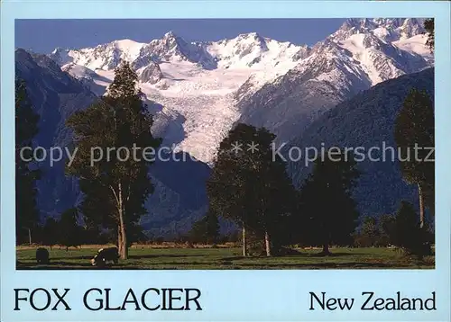 Gletscher Fox Glacier New Zealand  Kat. Berge