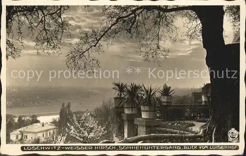 Foto Hahn Nr. 4315 Loschwitz Weisser Hirsch Blick vom Luisenhof  Kat. Fotografie