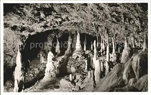 Hoehlen Caves Grottes Baerenhoehle Karlshoehle Erpfingen Kat. Berge