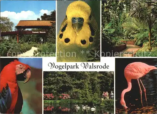 Voegel Vogelpark Walsrode  Kat. Tiere