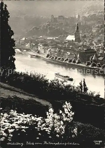 Foto Popp Nr. 353 Heidelberg Blick vom Philisophengaertchen  Kat. Fotografie