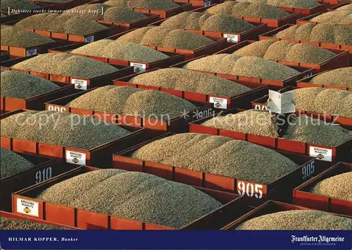 Ernte Landwirtschaft Erdnuesse Peanut Farm Dawson Georgia  Kat. Landwirtschaft