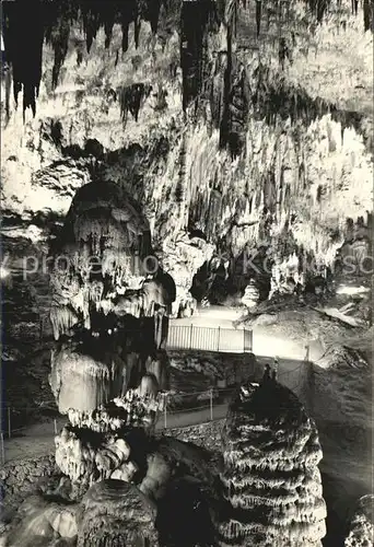 Hoehlen Caves Grottes Postojnska Jama Tartarus  Kat. Berge