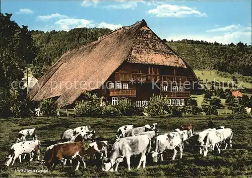 Schwarzwaldhaeuser Kuehe  Kat. Gebaeude und Architektur