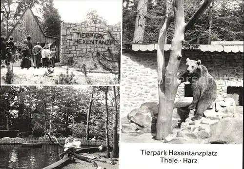 Baeren Tierpark Hexentanzplatz Thale Harz  Kat. Tiere