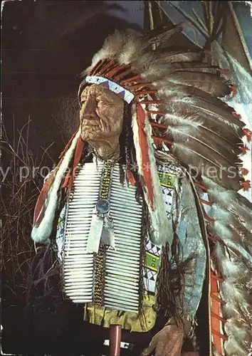 Indianer Native American Haeuptling American Horse Museum Karl May Stiftung Radebeul Kat. Regionales