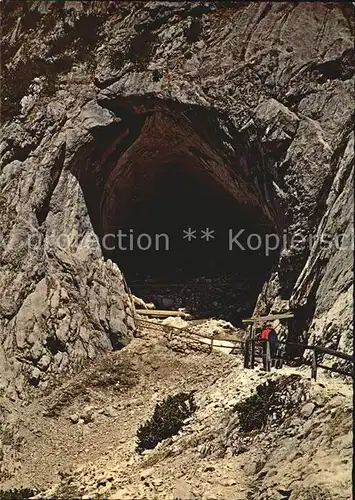 Hoehlen Caves Grottes Eisriesenwelt Hoehleneingang Kat. Berge