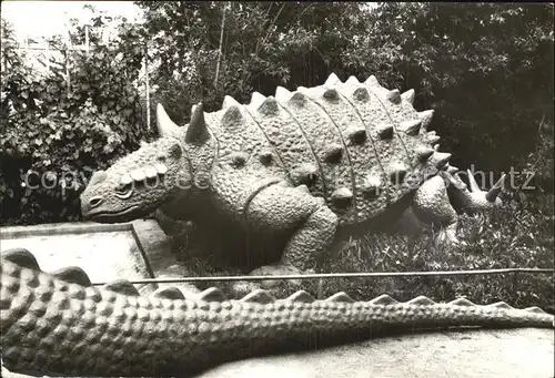 Dinosaurier Ankylosaurus Saurierparkanlage Kleinwelka  Kat. Tiere