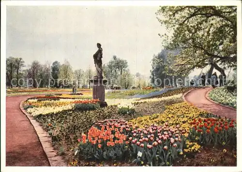 Bundesgartenschau Kassel Blumenflor Alte Mauer Wasserspiele Kat. Expositions