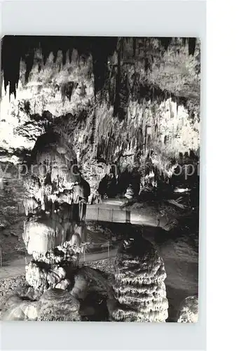 Hoehlen Caves Grottes Postojnska Jama Slowenien Kat. Berge