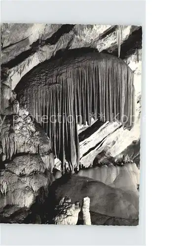 Hoehlen Caves Grottes Postojnska Jama Slowenien Kat. Berge