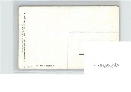 Hoffmann Heinrich Schapbachtal Schwarzwaldhaus  Kat. Kuenstlerkarte