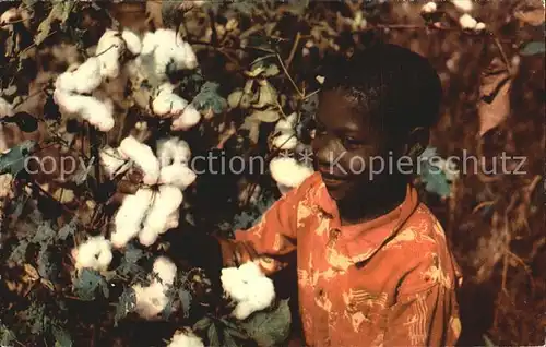 Baumwollpfluecker Cotton Pickers Kind  Kat. Landwirtschaft