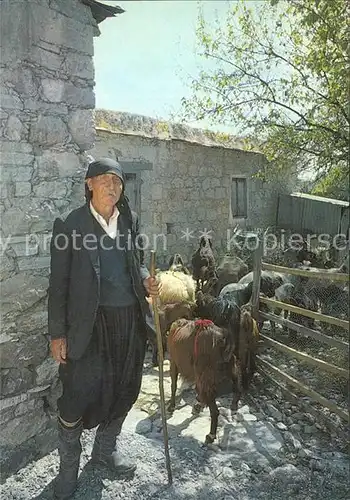 Hirte Cyprus Shepherd  Kat. Landwirtschaft