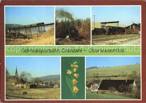 Lokomotive Schmalspurbahn Cranzahl Oberwiesenthal  Kat. Eisenbahn