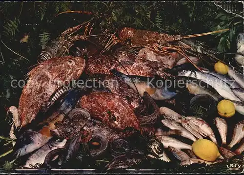 Fische Bonne Bouillabaisse Kat. Tiere