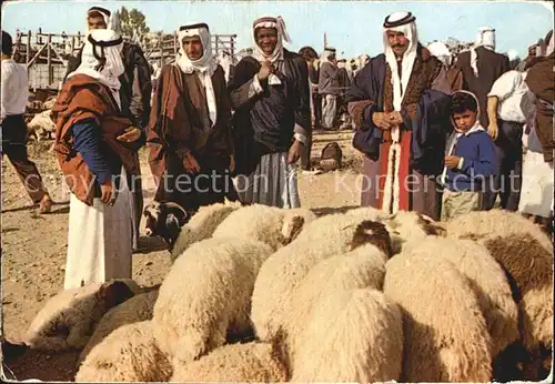 Typen Israel Schafe Markt  Kat. Typen