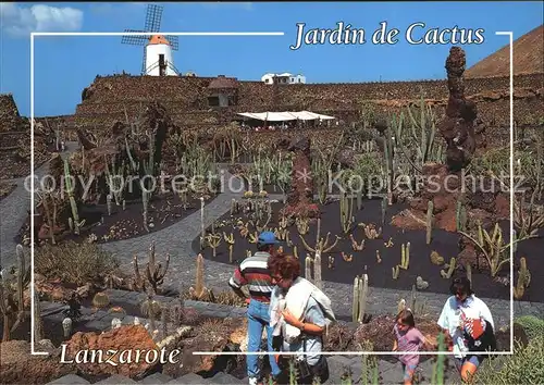 Kakteen Jardin de Cactus Lanzarote  Kat. Pflanzen