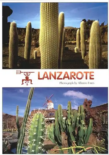 Kakteen Lanzarote  Kat. Pflanzen