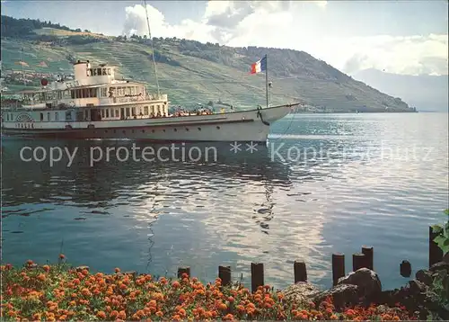 Dampfer Seitenrad Italie Lac Leman  Kat. Schiffe
