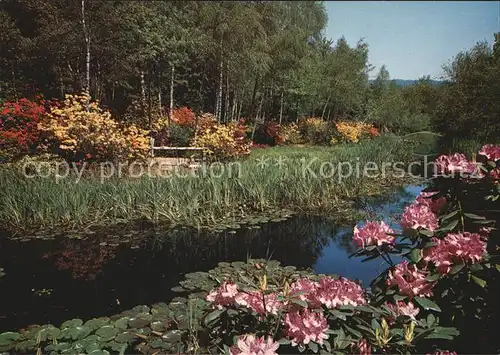 Blumen Park Seleger Moor Rifferswil Kat. Pflanzen