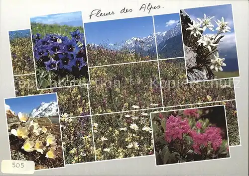 Blumen Fleurs des Alpes Enzian Edelweiss Krokus Kat. Pflanzen