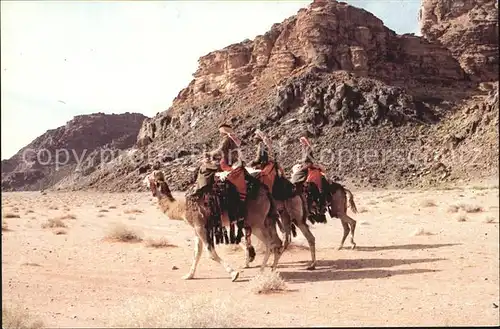 Kamele Desert Patrol Wadi Rum Jordan Kat. Tiere