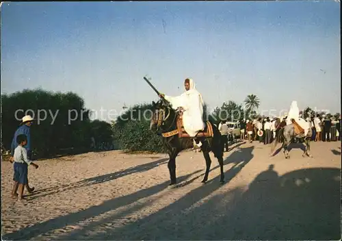 Pferde Jerba Cavalier Kat. Tiere