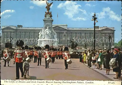 Leibgarde Wache Corps of Drums Irish Guards Mascot Buckingham Palace London Kat. Polizei