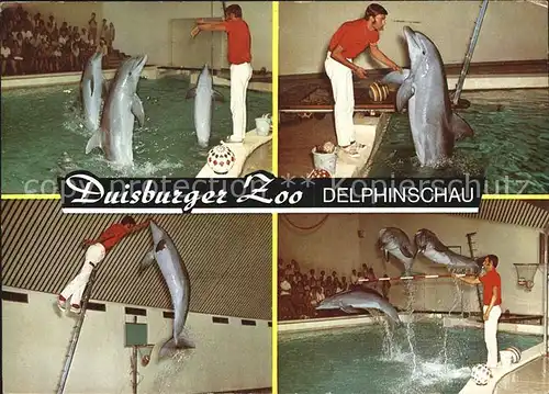 Delphine Duisburg Zoo Delphinschau  Kat. Tiere