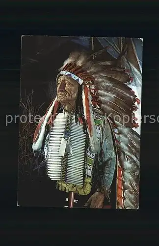 Indianer Native American Haeuptling American Horse Indianer Museum Karl May Stiftung Radebeul Kat. Regionales