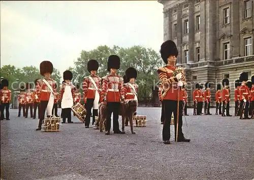 Leibgarde Wache The Corps of Drums 1st Battalion Irish Guards Buckingham Palace  Kat. Polizei