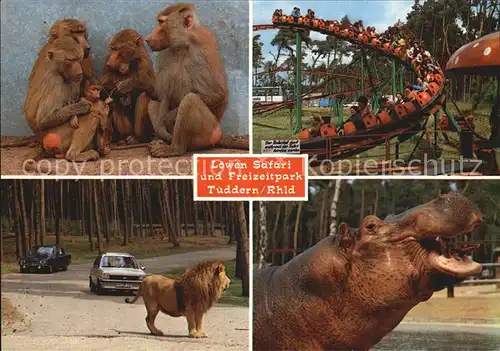 Vergnuegungspark Loewen Autosafari und Freizeitpark Tueddern Affen Nilpferd  Kat. Vergnuegungsparks